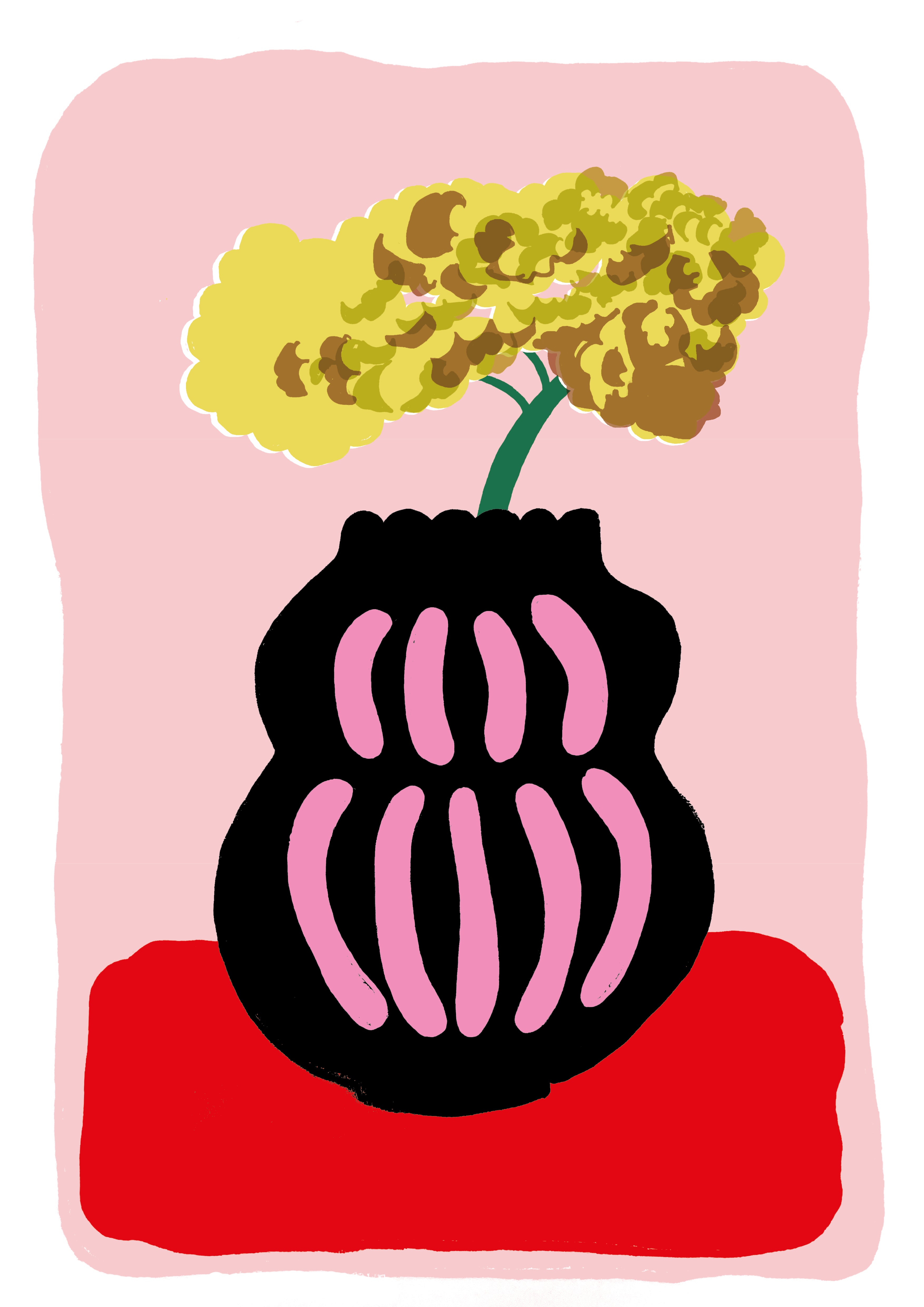 Fire Cracker - Black Vase - Art Print A3